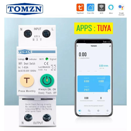 TUYA WIFI SWITCH 2P Energy kWh Power Monitor 63A with LEAKAGE Protect